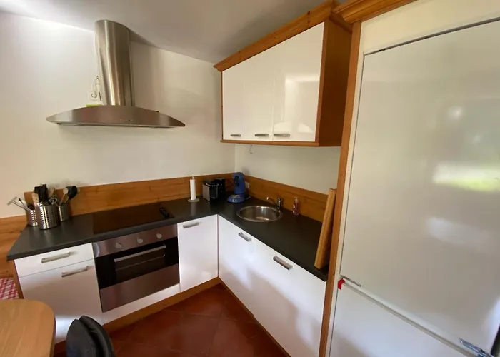 Apartment Luxe Aan De Piste Van Annaberg-lungoetz Annaberg im Lammertal